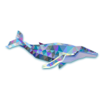 ocean environment whale